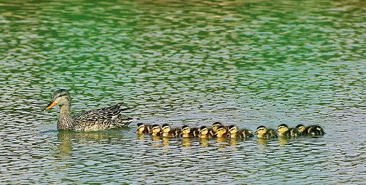 ARPG新作《刀剑神域 异绊集结》公开 2023年发售